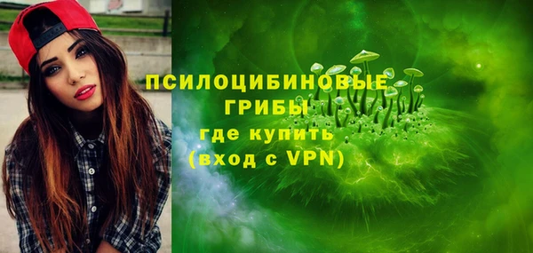 первитин Алексин