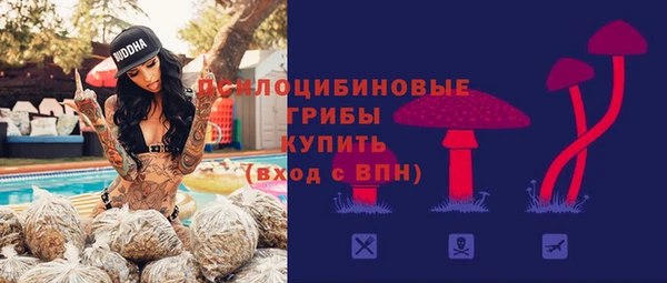 мяу мяу мука Абдулино