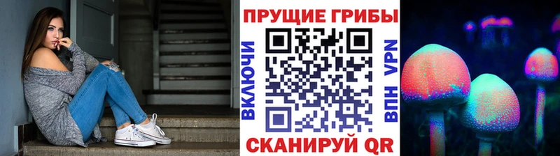 Галлюциногенные грибы Psilocybe  закладка  Октябрьск 